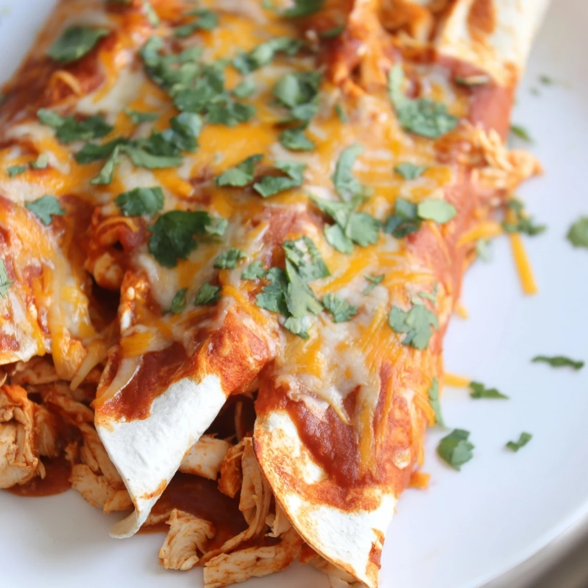 Homemade chicken enchiladas rolled in soft tortillas, garnished with fresh cilantro and sliced jalapeños